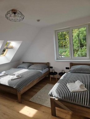 Horský apartmán MIKI Vikýřovice